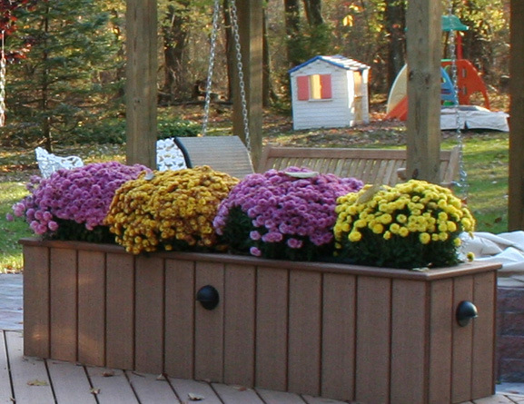 deck planter with flowers