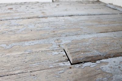 wooden floor board lifting