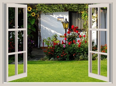 Open window with backyard view