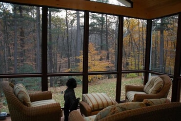 three season porch with views and a dog looking out the window 