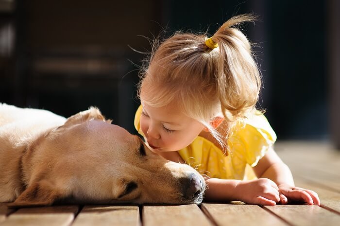 Child kissing dog