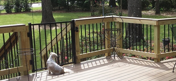 Dog sitting in front of deck gate