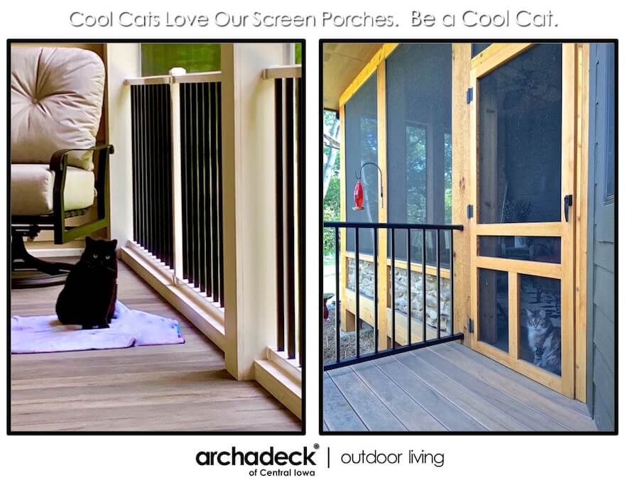 Cats and screened porches
