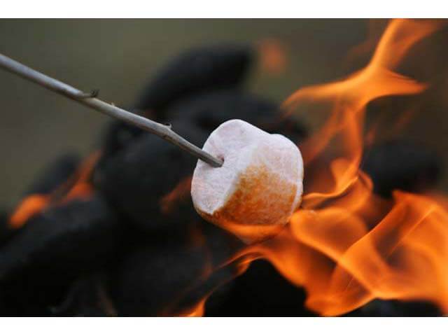 Toasting a marshmallow