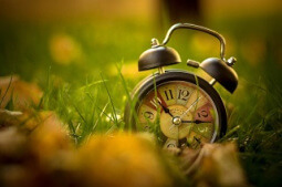 Clock in the grass