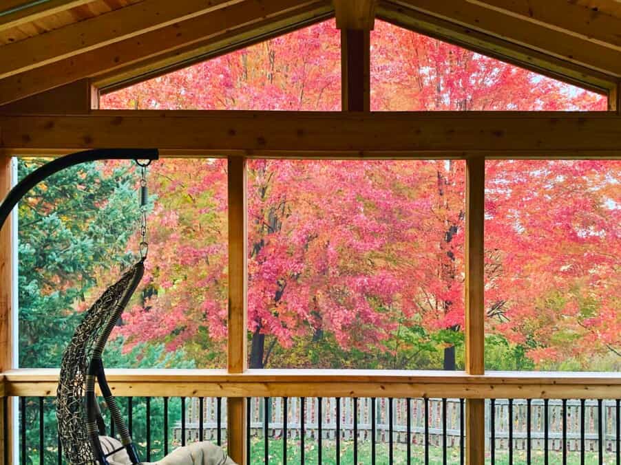 The interior view of a screened porch with a high wooden ceiling and large windows looking out onto vibrant autumn trees with red and green foliage. A hanging egg chair is visible in the foreground.