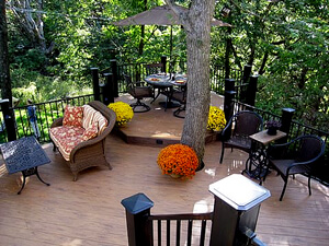 Custom backyard deck with tree trunk in the middle