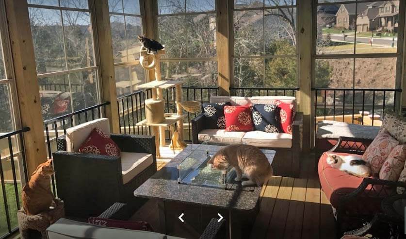 Custom breeze porch with cats