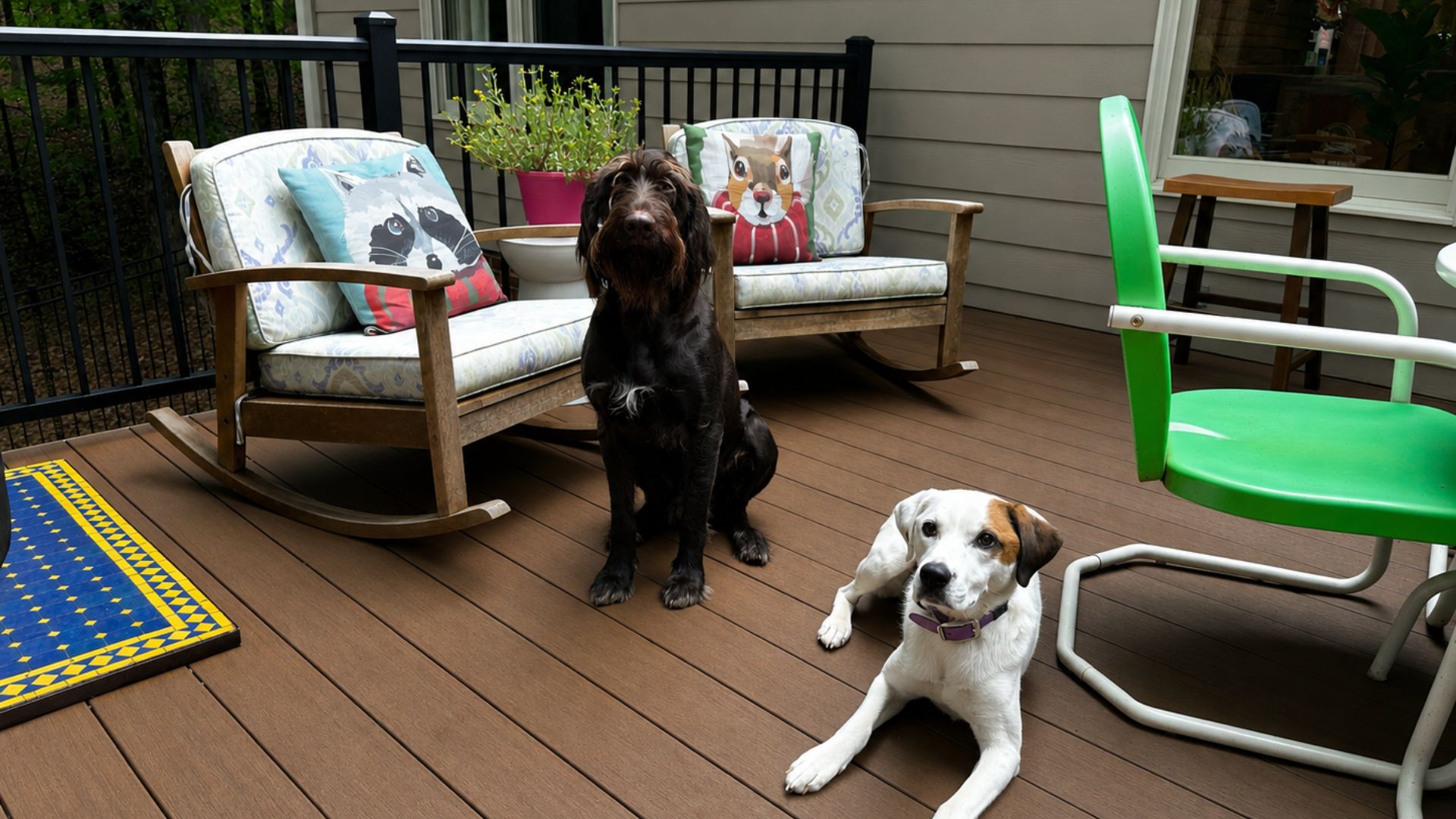 pet friendly deck designs