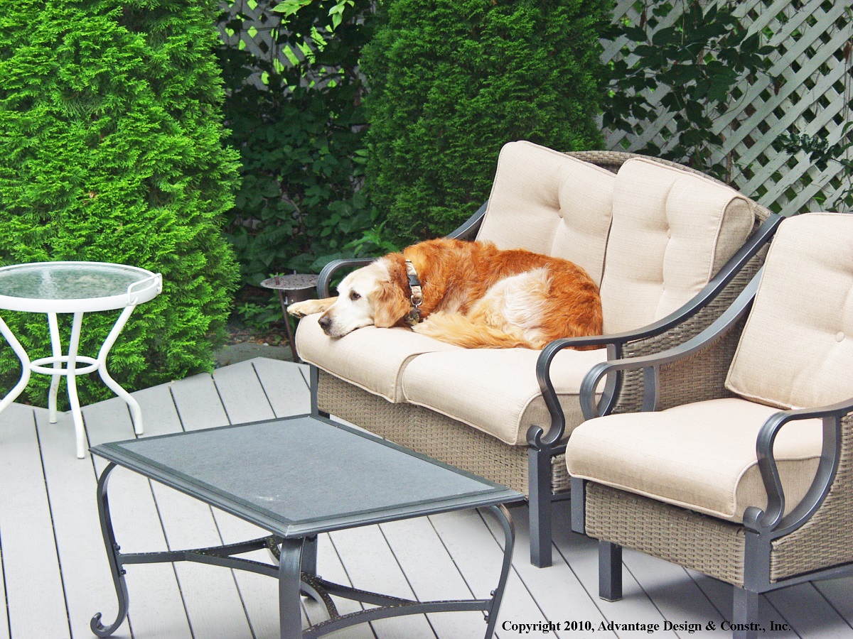 Add an Outdoor Living Space Your Pets Can Enjoy, Too.