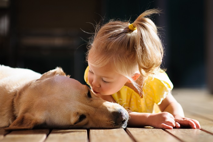 toddler girl kissing dog