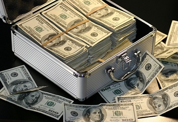 Case filled with cash