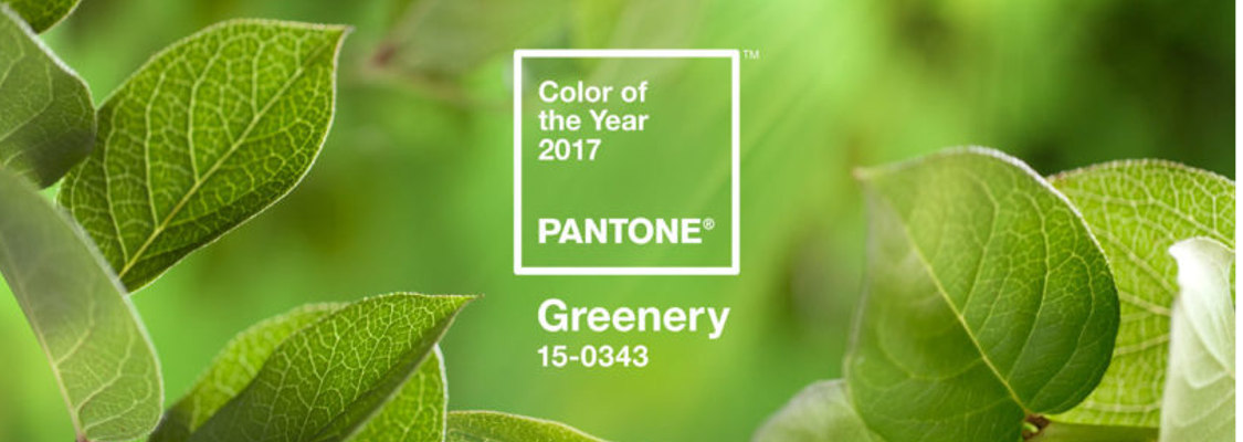 2017 Pantone Color of the Year Greenery 15-0343