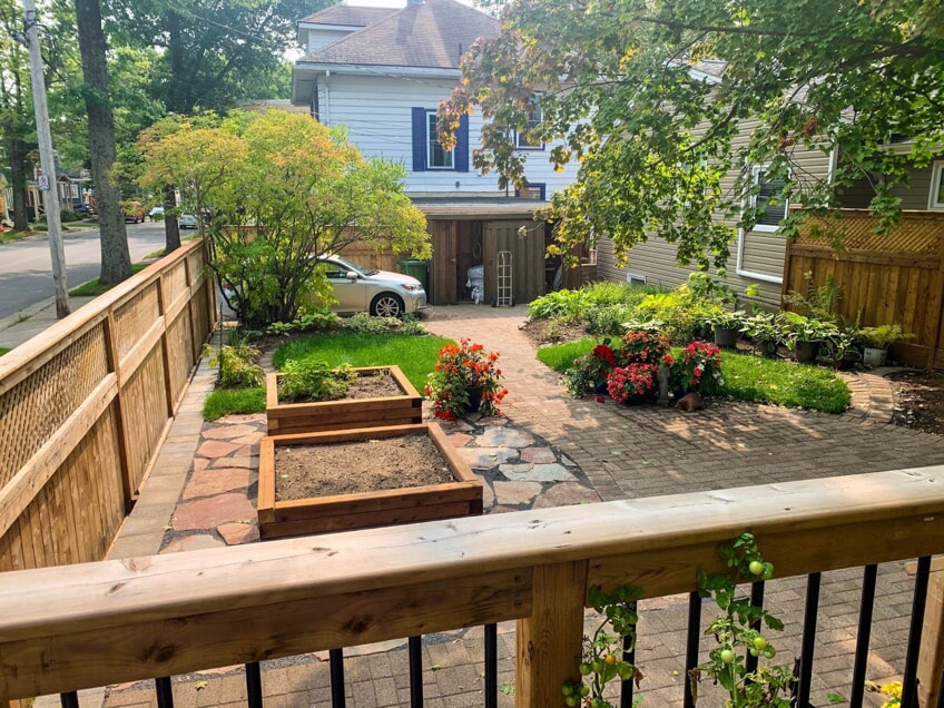 bamboo fencing around garden